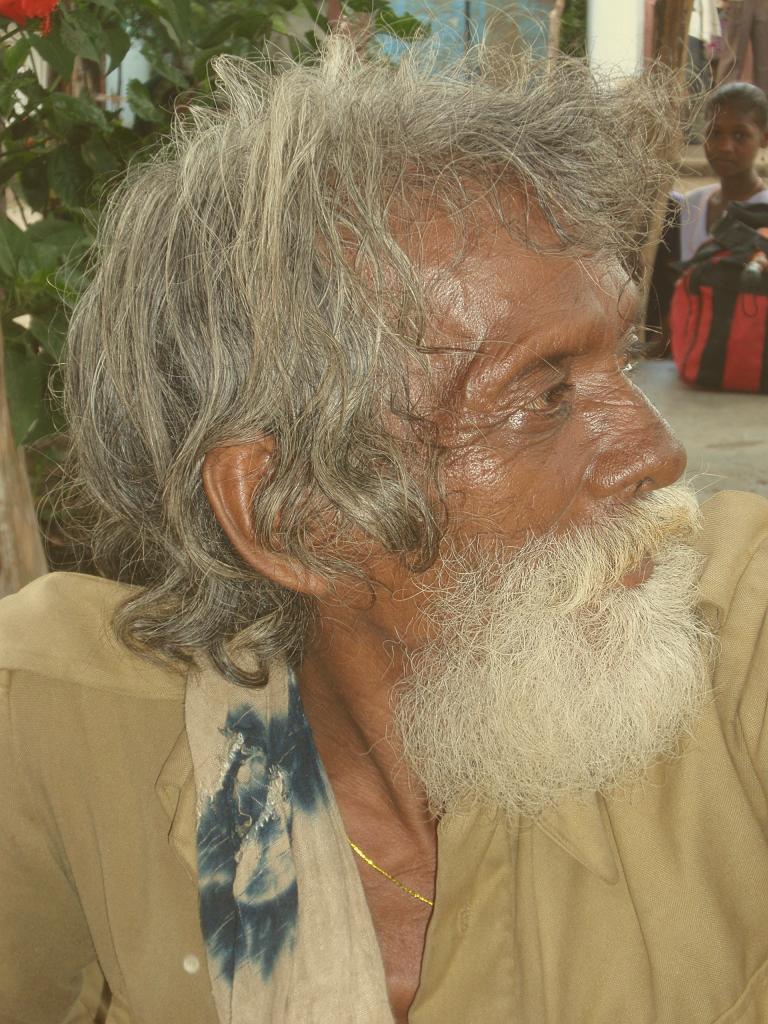 2008-09-12_10-58-15_sanchi_043.jpg - Que regarde-t-il?