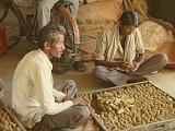 2008-09-12_09-31-23_sanchi_022