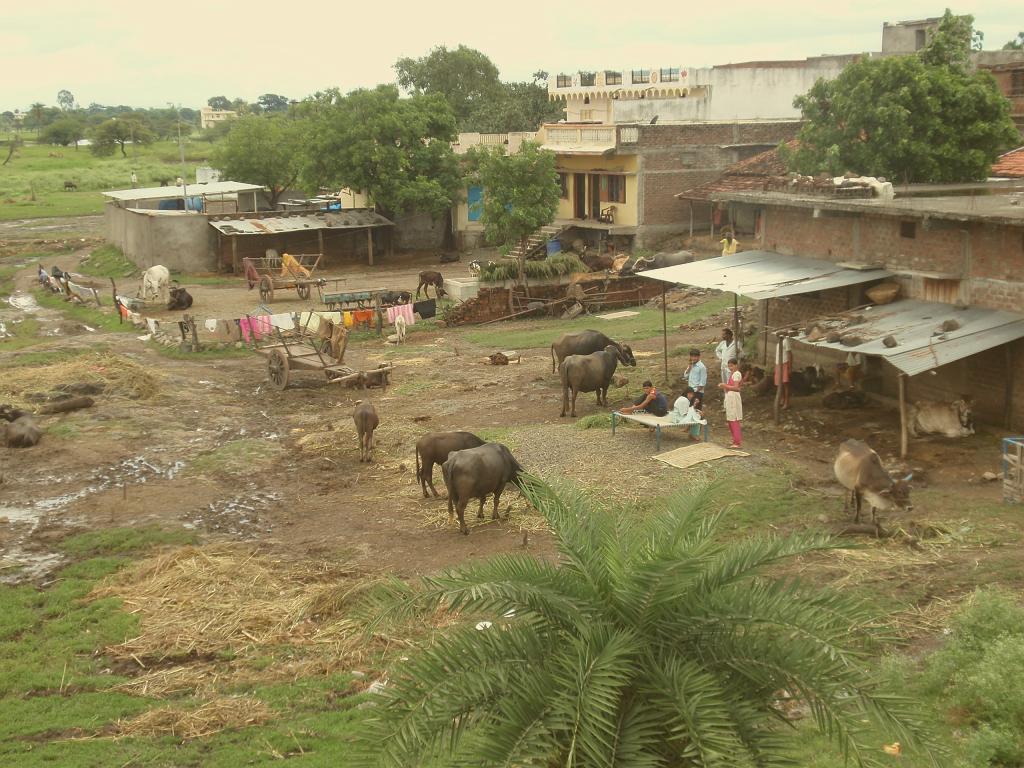 2008-09-14_12-14-01_indore_034.jpg - la campagne