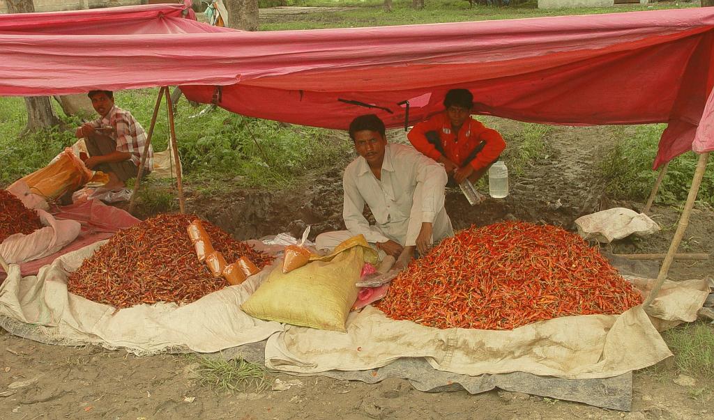2008-09-14_13-22-03_indore_056.jpg - rouge