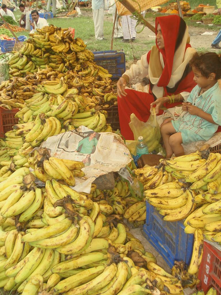 2008-09-14_13-26-50_indore_067.jpg - et mes bananes