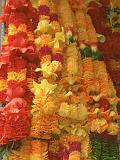 2008-09-14_10-42-10_indore_010