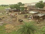 2008-09-14_12-14-01_indore_034