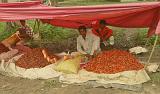 2008-09-14_13-22-03_indore_056