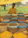 2008-09-14_13-23-00_indore_058