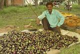 2008-09-14_13-23-34_indore_062