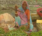 2008-09-14_13-32-24_indore_078